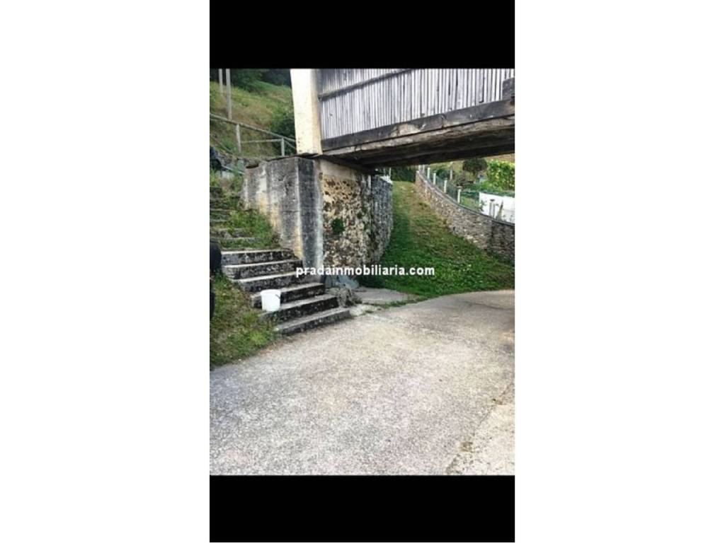 Jardín