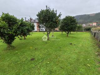 Jardín