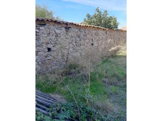 Jardín