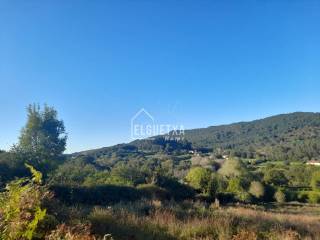 Vistas