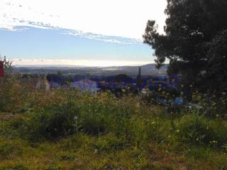 Vistas
