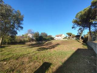 Vistas