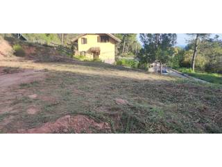 Jardín