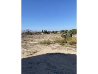 Jardín