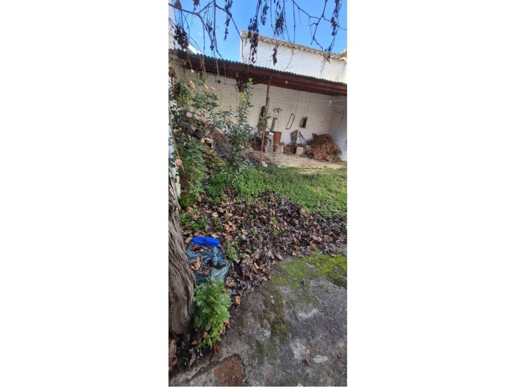 Jardín
