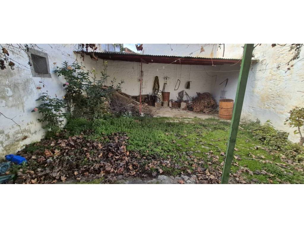 Jardín