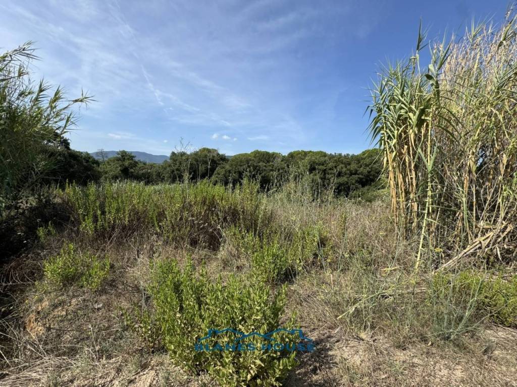 Jardín
