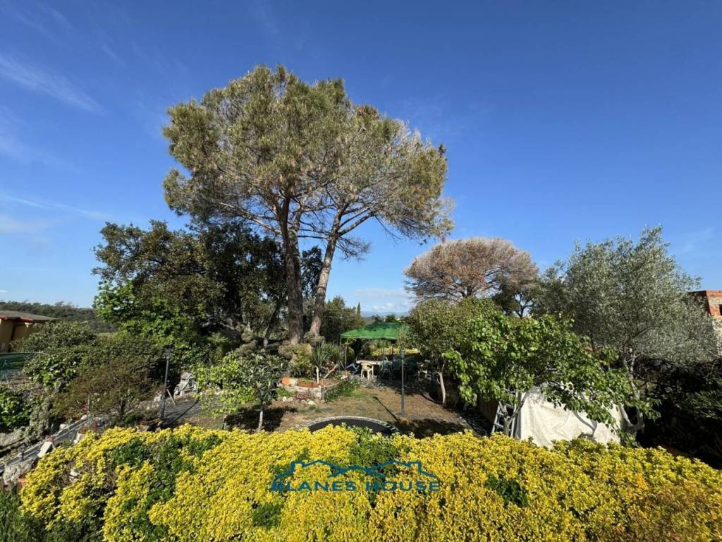 Jardín