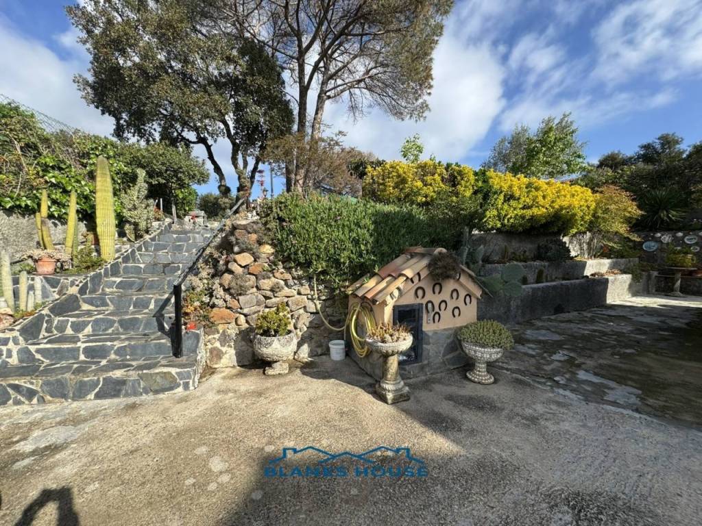 Jardín