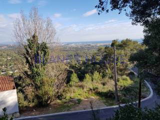 Entorno