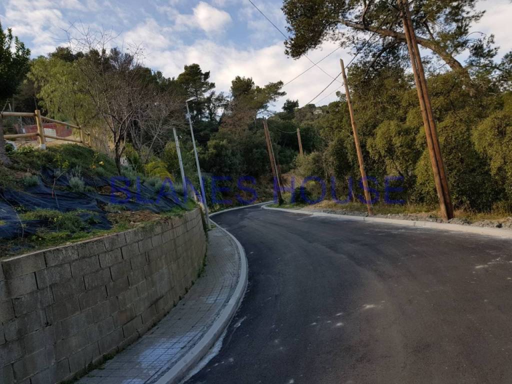 Entorno