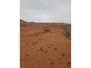 Vistas