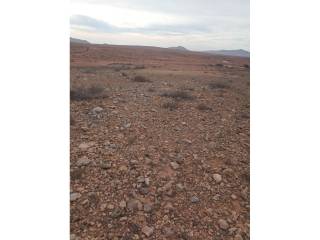Vistas