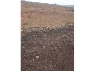 Vistas