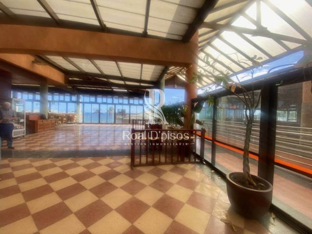 Terraza