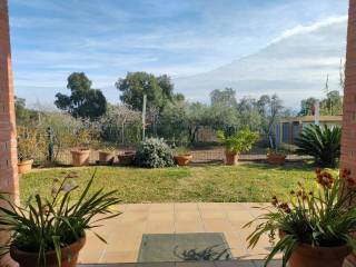 Jardín