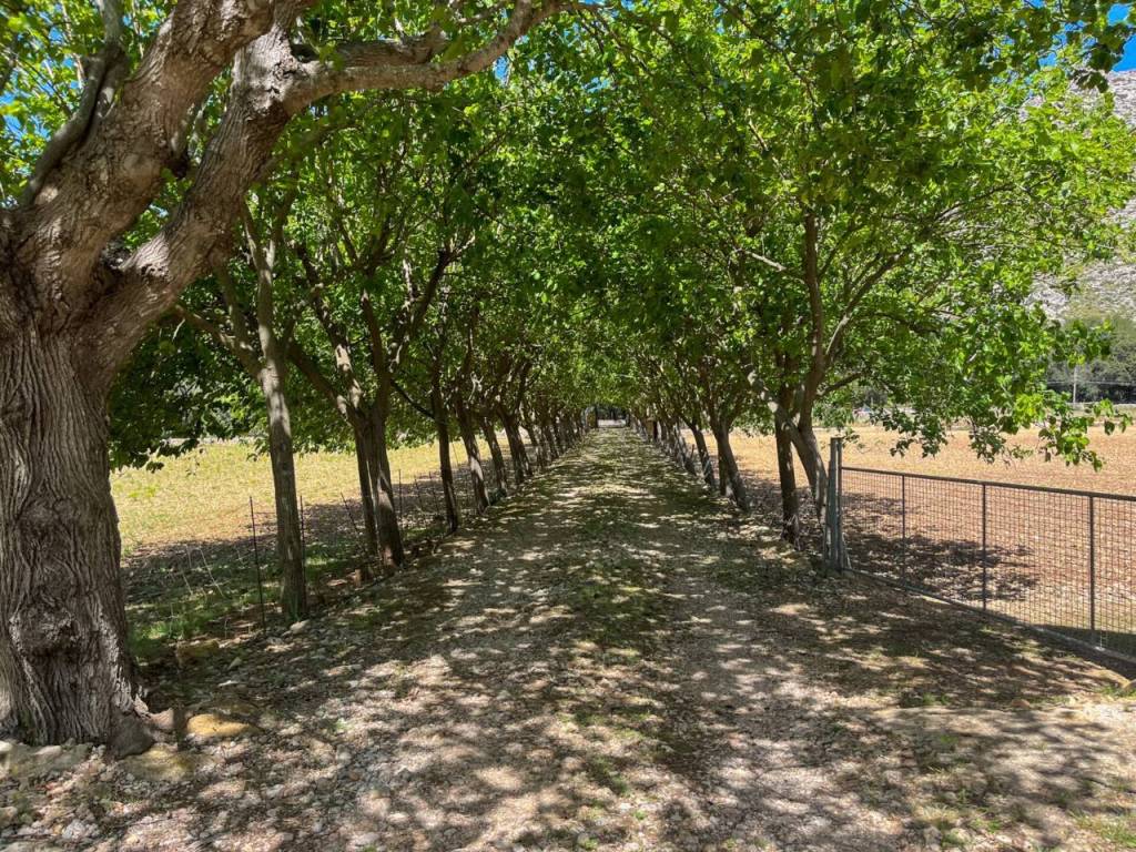 Jardín