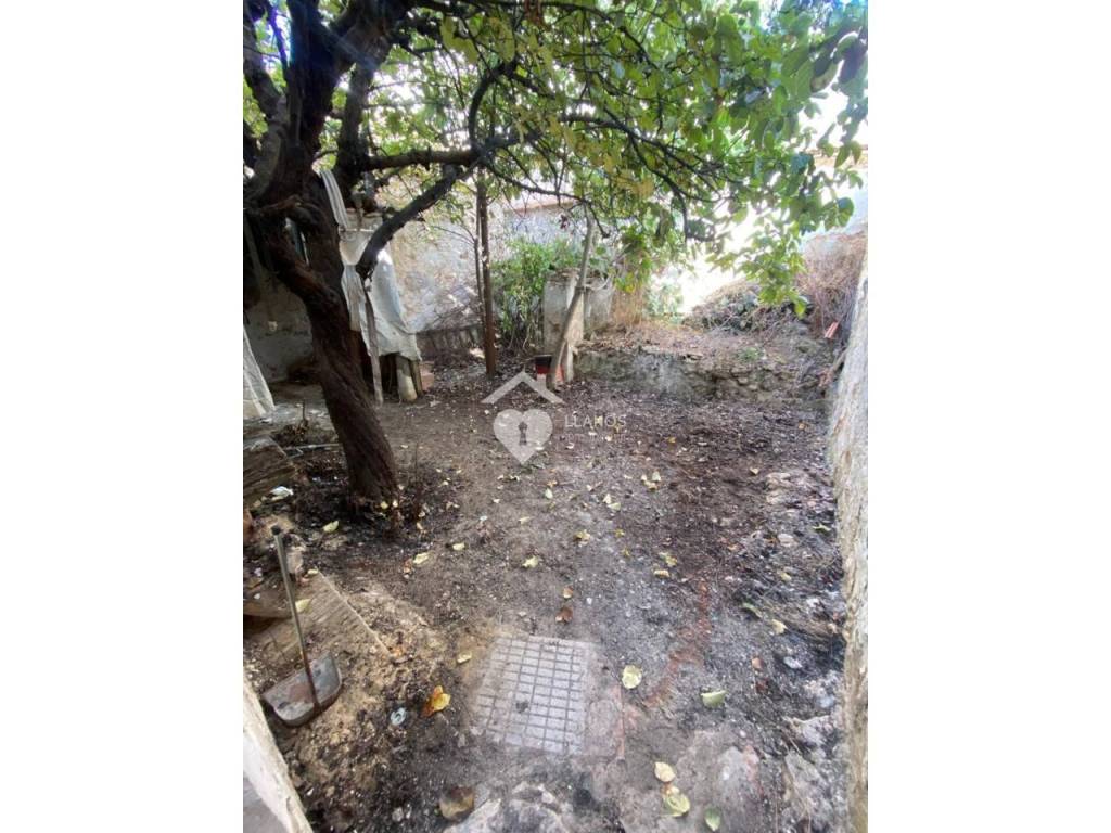 Jardín