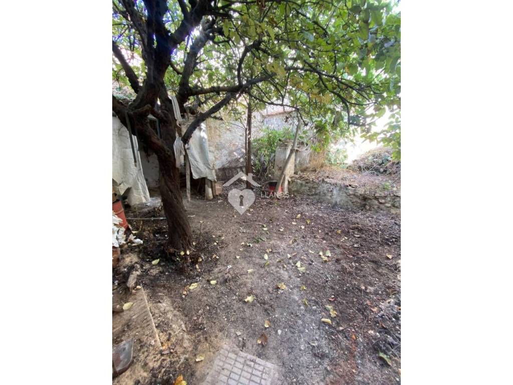 Jardín