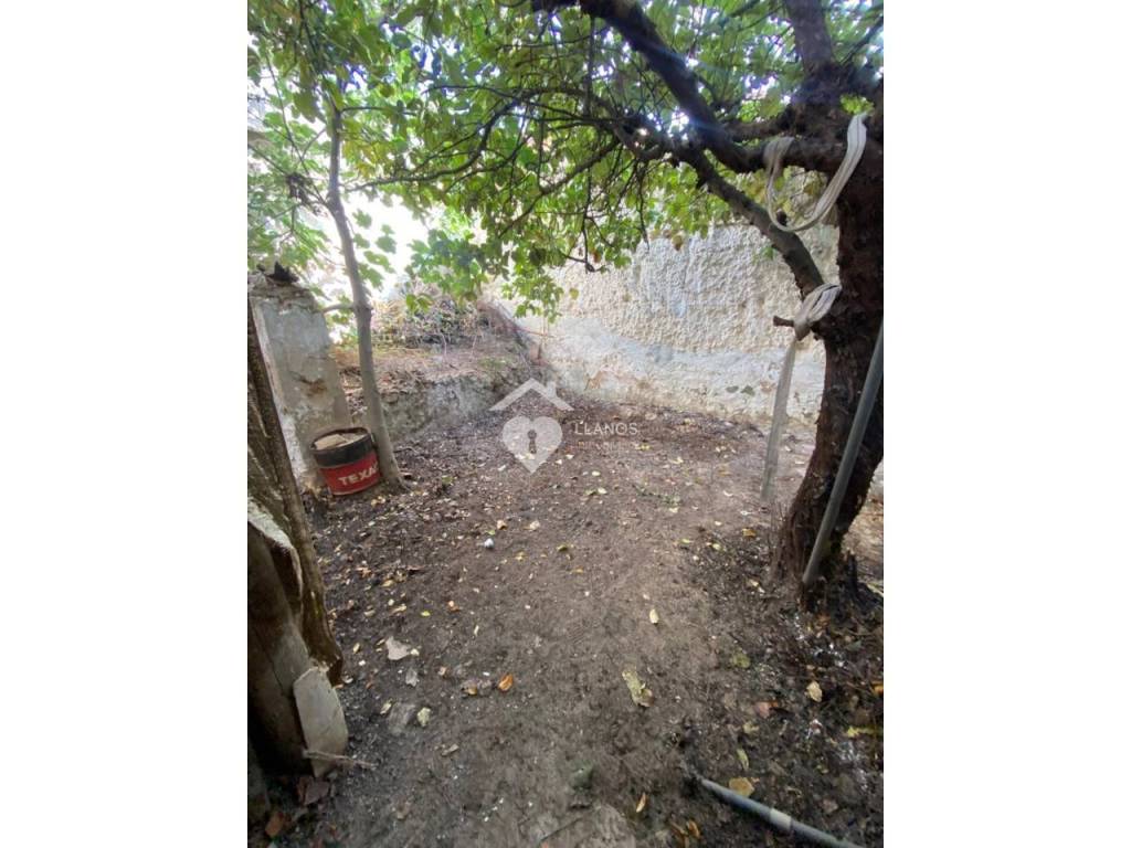 Jardín