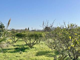 Jardín