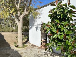 Jardín