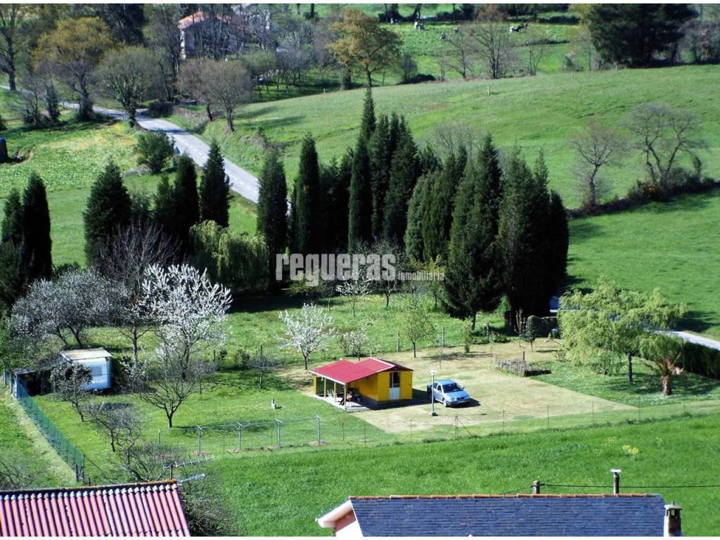 Jardín