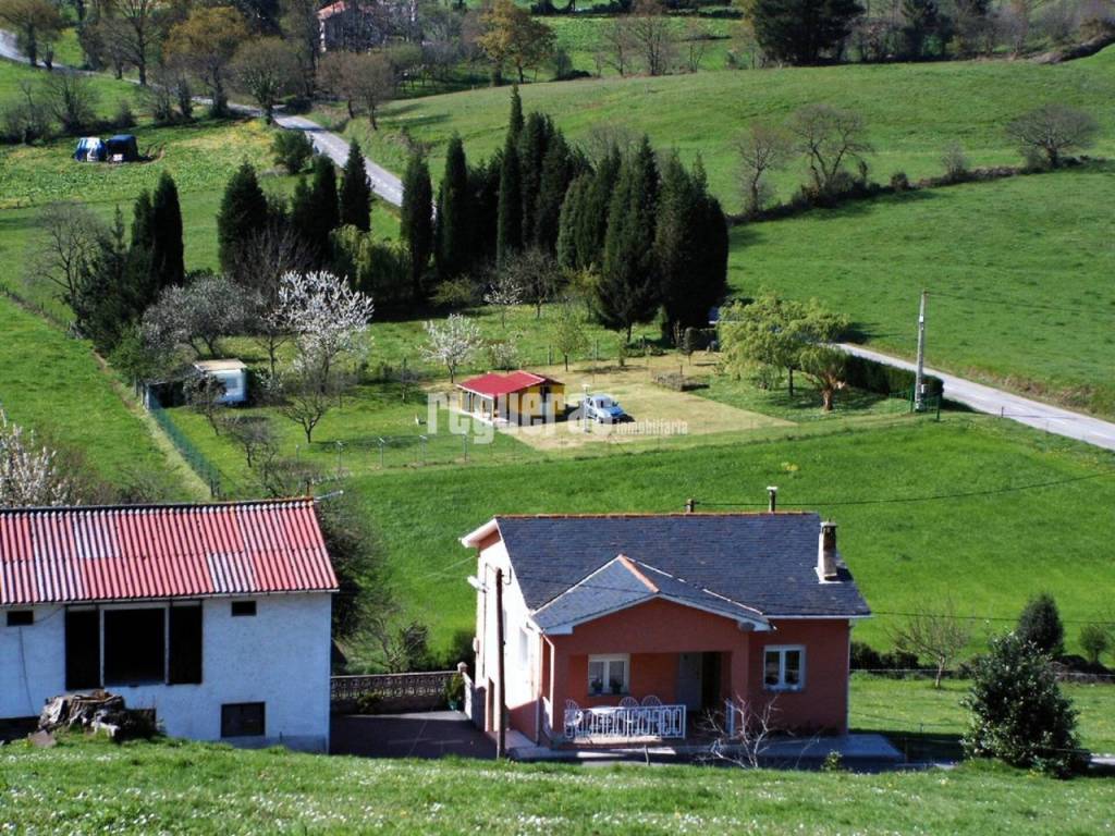 Jardín