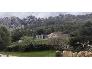 Vistas