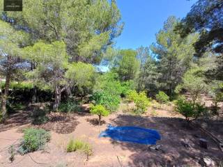 Jardín