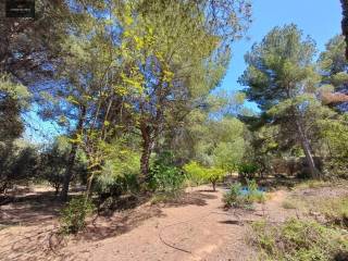 Jardín