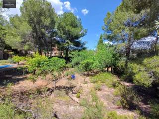 Jardín
