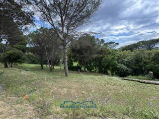 Jardín