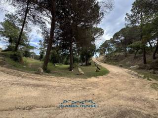 Jardín
