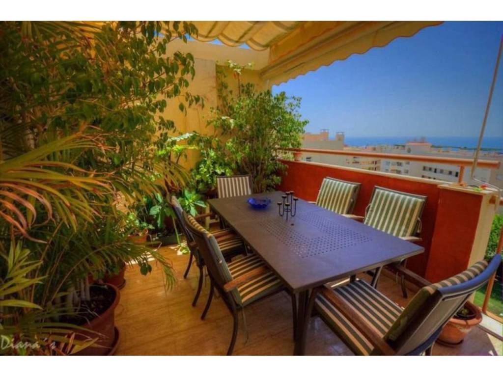 Terraza
