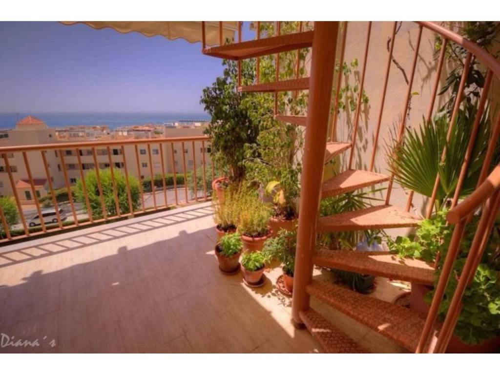 Terraza
