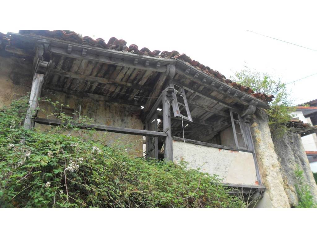 Jardín
