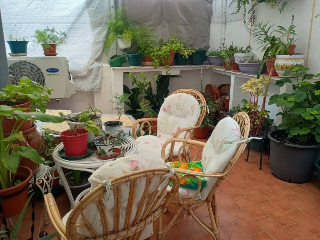 Terraza