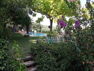 Jardín