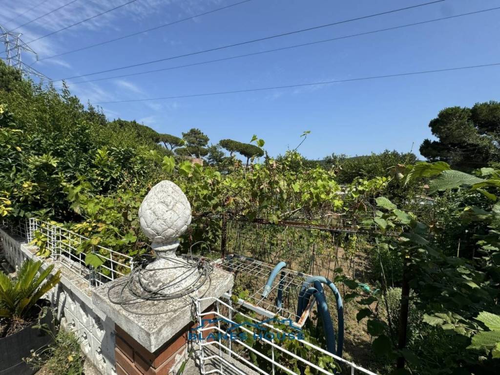 Jardín