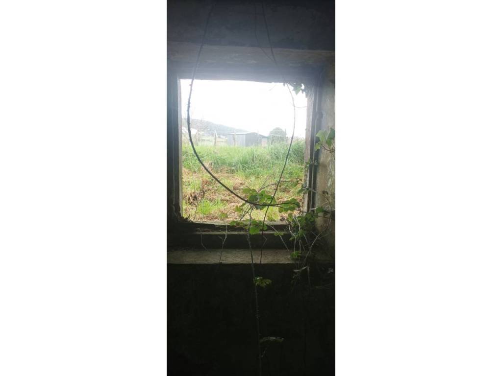 Vistas