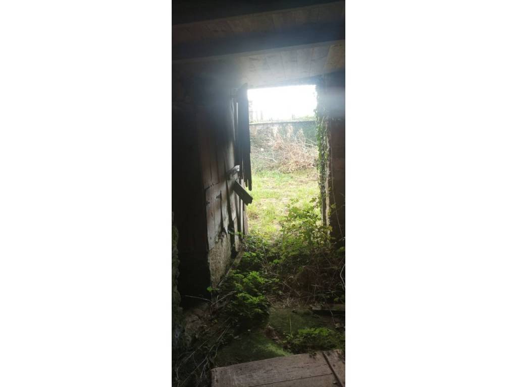 Jardín