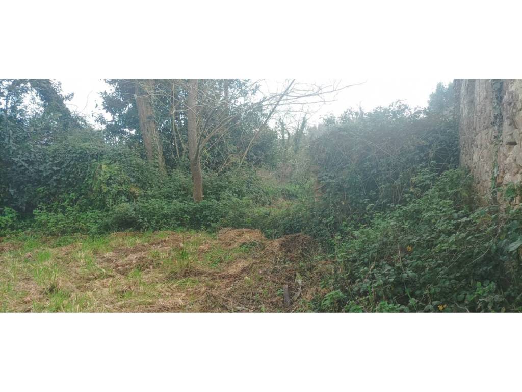 Jardín