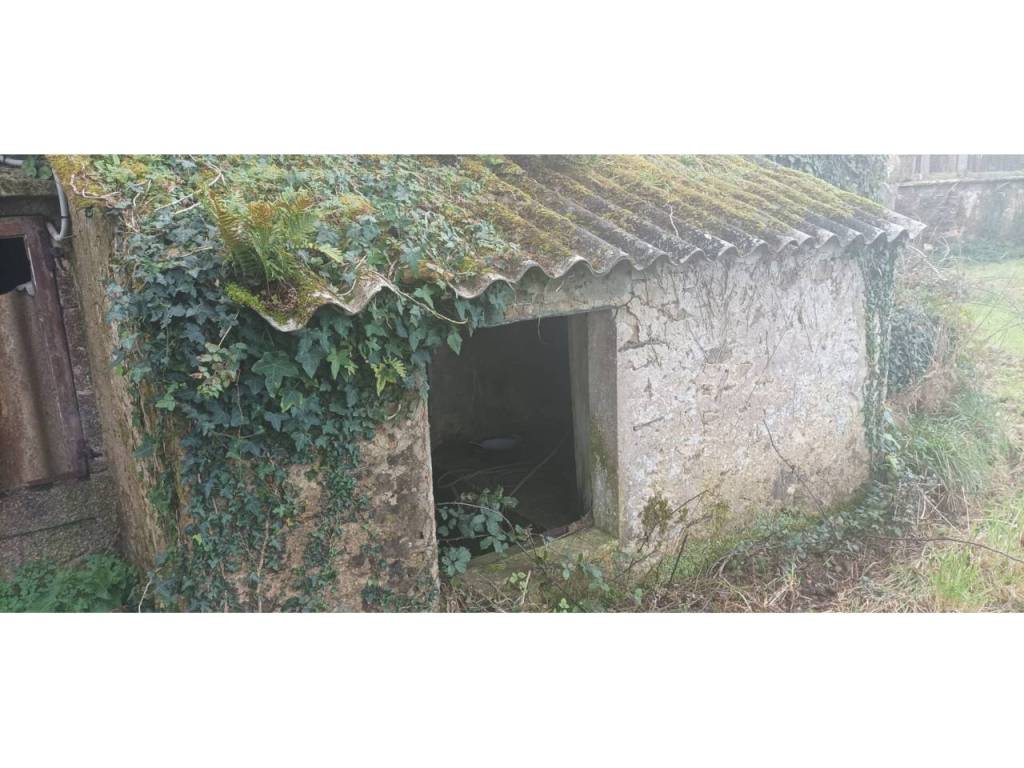 Jardín