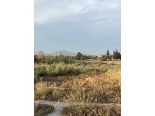 Estancia
