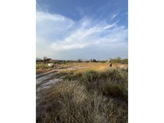 Vistas