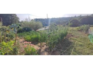 Jardín