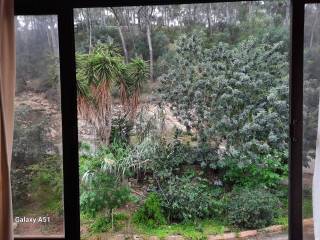 Jardín