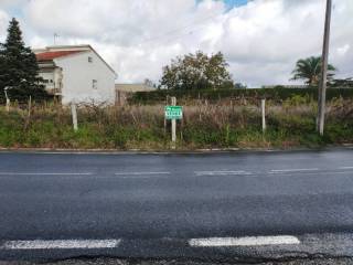 No Informado