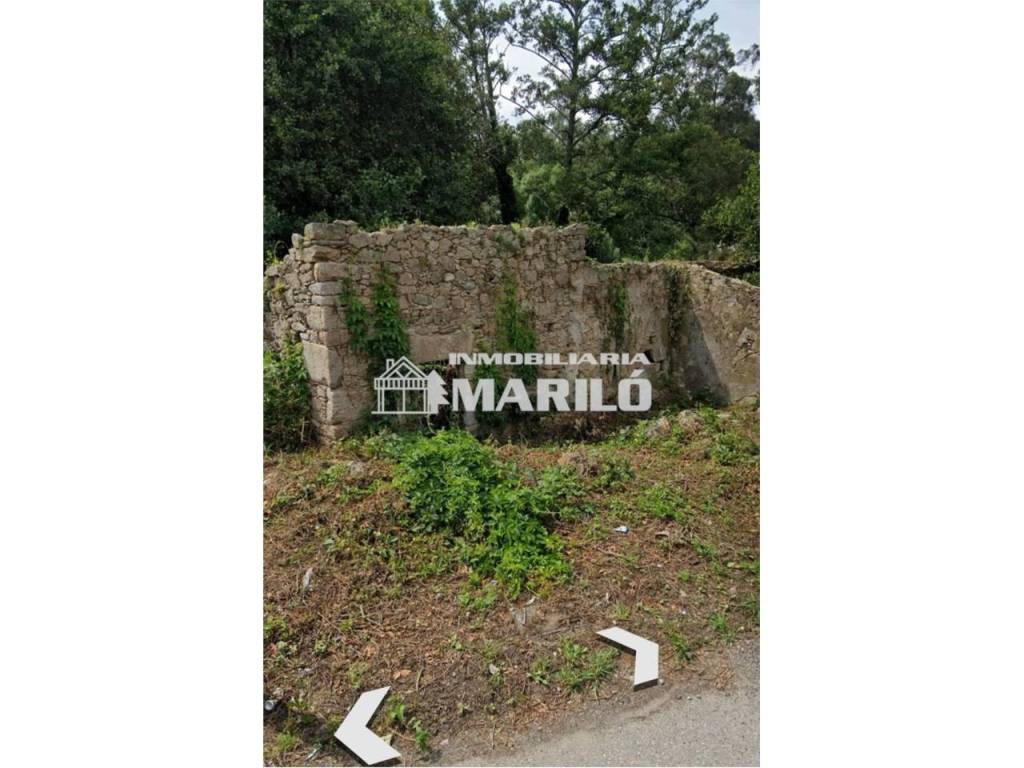 Jardín